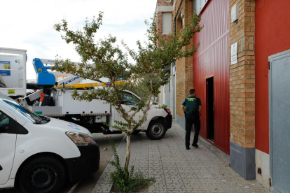 Cae una red de tráfico de 'maría' con 2 detenidos y 700 plantas en Torre-serona