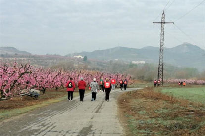 Recull d'imatges dels actes que s'han organitzat en motiu del Dia Internacional de la Dona a les Terres de Ponent