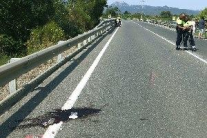 Un conductor drogado atropella mortalmente a dos cilcistas en Montbrió del Camp