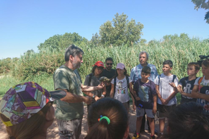 Niños y jóvenes de la Semana Natural liberaron ayer las tortugas. 