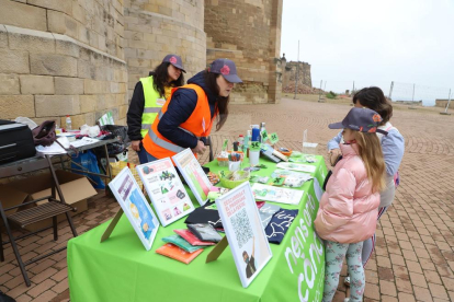 Celebrat a la Seu Vella de Lleida