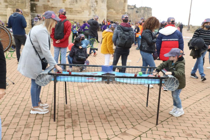 Celebrat a la Seu Vella de Lleida