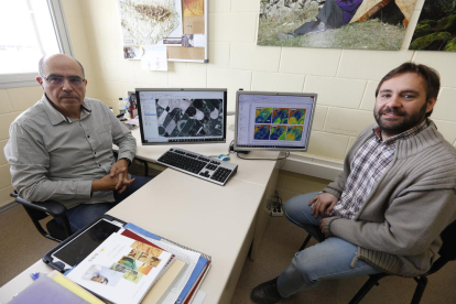 Los investigadores José Antonio Martínez Casasnovas y Alexandre Escolà, junto a imágenes de cultivos tomadas desde satélites.