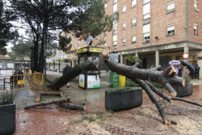 Efectos de una tormenta en Lleida la pasada primavera.