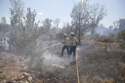 Un segundo incendio en 24 horas calcina otras 2,5 hectáreas en Aitona
