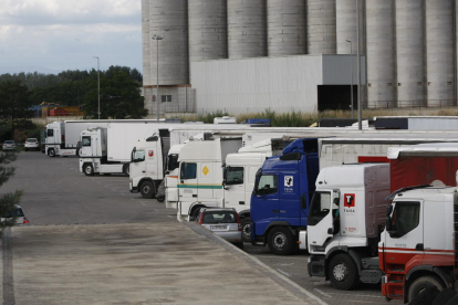 Imagen tomada ayer de numerosos camiones estacionados en el Polígono El Segre de Lleida.