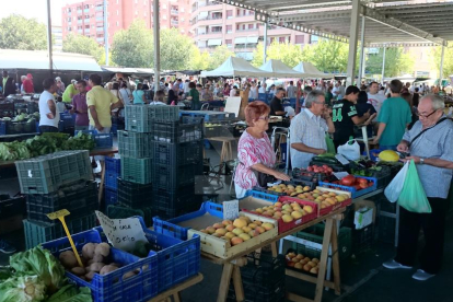 Un mercar de fruites i verdures a Lleida.