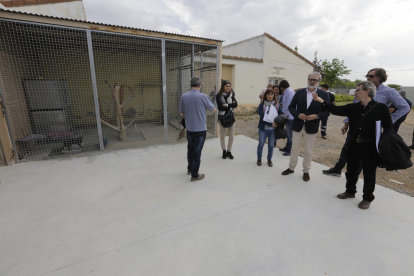 El concejal de Urbanismo, Fèlix Larrosa, ayer en la perrera municipal en la Caparrella.