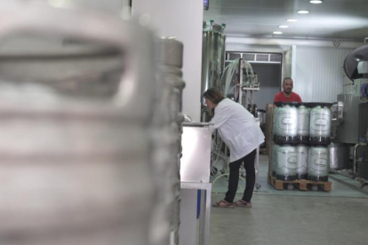 La fábrica de cerveza Lo Vilot de Almacelles produce su lúpulo.