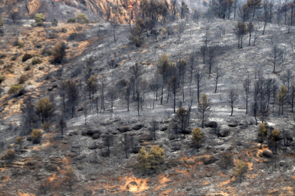 El incendio de Baldomar, en junio, calcinó 2.700 hectáreas.