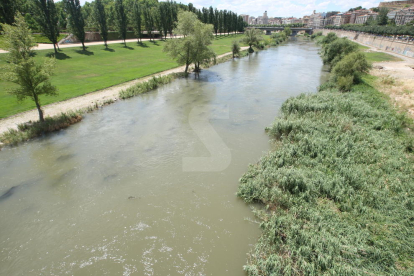 Imatge d'arxiu del riu Segre al seu pas per la ciutat de Lleida.
