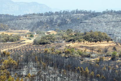FOTOGRAFIES de l'incendi de Castellar de la Ribera, al Solsonès