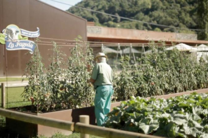 La marca La Fageda treballa amb un esquema d’integració.