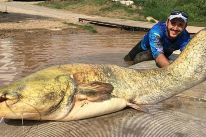 Imagen del sirulo gigante pescado en Lodosa. 