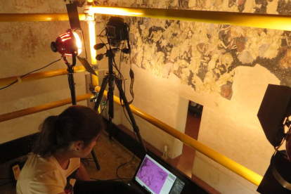 Miquel Ángel Herrero, investigador del CAEM, al centre estudiant les pintures de Pisanello.