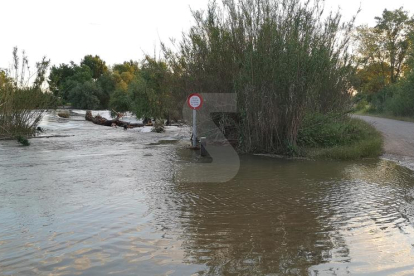 La crecida del Segre también ha inundado caminos en la partida de Butsènit.