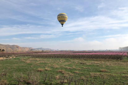 El primer dels vols amb globus sobre els fruiters florits d'Aitona