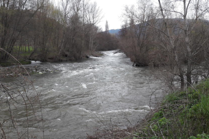 El río Segre en La Seu, por donde ayer circulaban más de 30 metros cúbicos de agua por segundo.