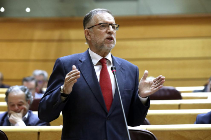 El socialista Marcelino Iglesias defendió ayer la posición de su partido en la moción en el Senado.