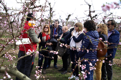 Más de 1.200 personas visitan los campos floridos del Segrià