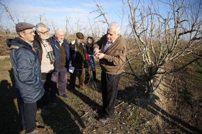 Miarnau explicando la técnica de la poda en uno de sus campos de frutales de Torres de Segre.