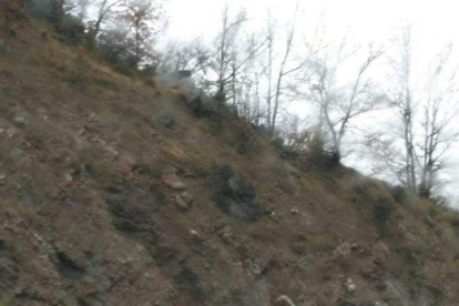 La roca que va caure dimecres sobre l'N-230 a Escales.