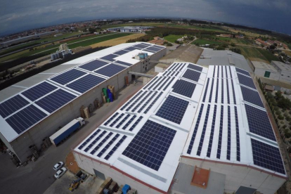Els panells solars de l’empresa Frifruit a Miralcamp.