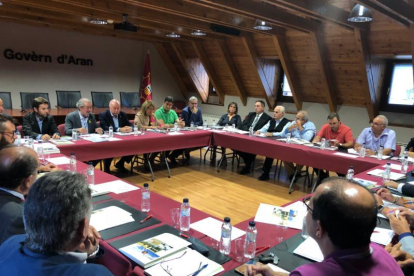 Reunión entre Diputación, Conselh y consistorios y EMD de Aran.