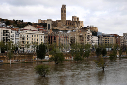 El río Segre a su paso por Lleida.