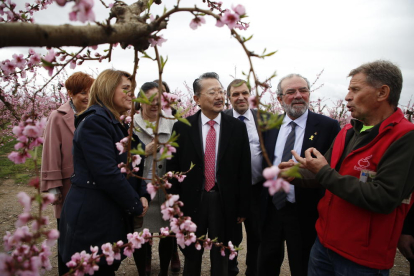 Pujol, Watanabe i Reñé van visitar ahir un dels camps fruiters florits que es troben a Aitona.