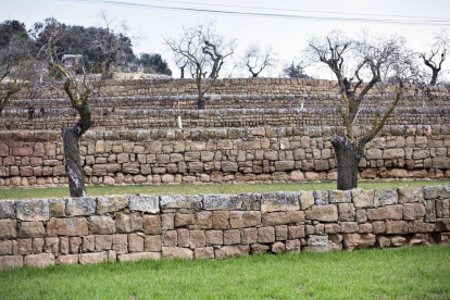 Los muros de los márgenes de ‘pedra seca’ de Mas Ramon, Guissona, entre los mejor conservados en la Segarra.