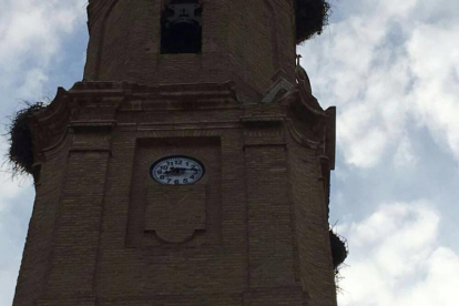 El campanario de la iglesia de Saidí tras la caída del nido.