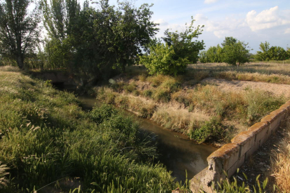 La entrada de agua que hay junto al canal de Seròs que será cubierta con esta actuación.
