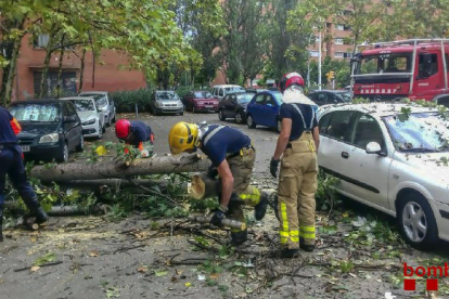 Imagen de los bomberos manipulando una rama caída sobre unos vehículos en Sabadell.
