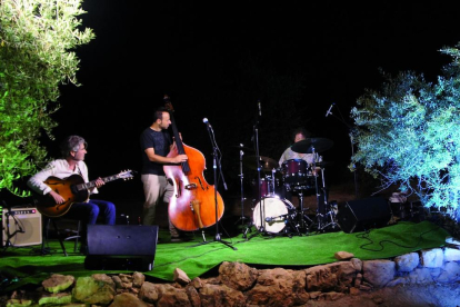 Imagen del concierto de jazz entre olivos.