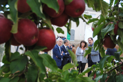 La consellera de Agricultura, Teresa Jordà, ayer, en la jornada frutícola del IRTA en Mollerussa.