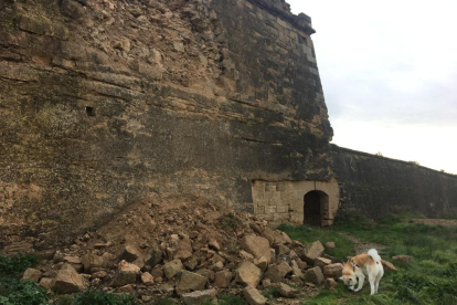 El desprendimiento de la muralla norte de la Seu Vella.