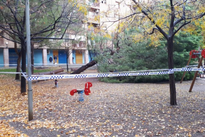 Imagen del árbol que cayó ayer en el parque Joc de la Bola de la ciudad de Lleida. 