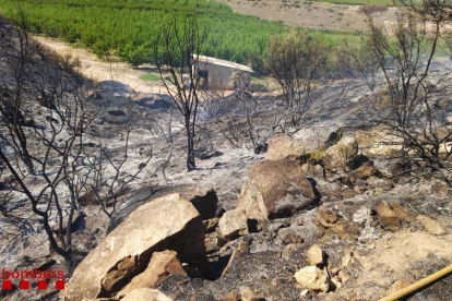 El foc s'ha originat entre un camí i un camp de cultius a la zona de la Velleta de Joaquima