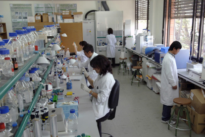 Investigadors treballant en un laboratori de la facultat d’Agrònoms de la Universitat de Lleida.