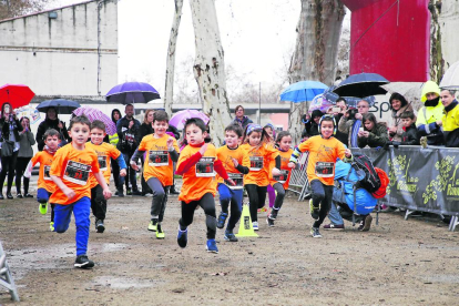 Una de les carreres de la Cursa de la Boira infantil celebrada ahir als Camps Elisis.