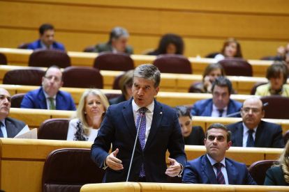 El portavoz del PP en el Senado, Ignacio Cosidó.