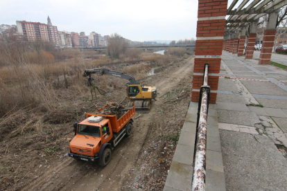 Obras en uno de los márgenes del río Cinca a su paso por la capital para limpiar de vegetación la zonas de desagüe urbano y de regadíos.