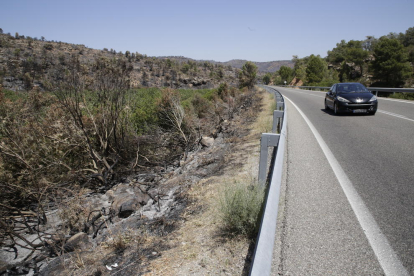 Monte quemado ayer junto a la carretera C-12 entre Maials y Flix, que tras tres días cortada, se reabrió el sábado por la noche.