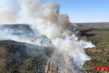 Una trentena de dotacions dels Bombers treballen en un incendi forestal a Maials