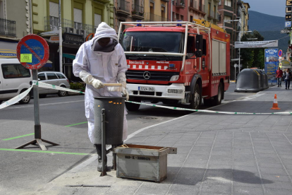 El bombero que se encargó de retirar las abejas en La Seu.