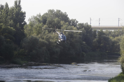 L’helicòpter fumigant ahir el riu a prop de Lleida ciutat.
