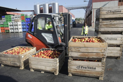 El 2014, els productors van retirar del mercat 11.284 tones de préssecs i 19.455 de nectarines.