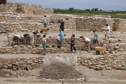Ayer fue la primera jornada de excavaciones en els Vilars d’Arbeca, en lo que será la 33 campaña, que se alargará hasta el 14 de julio. 