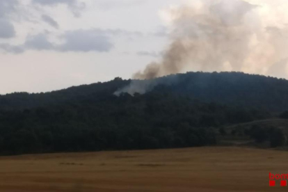 Els Bombers extingeixen un foc de vegetació a Artesa de Segre